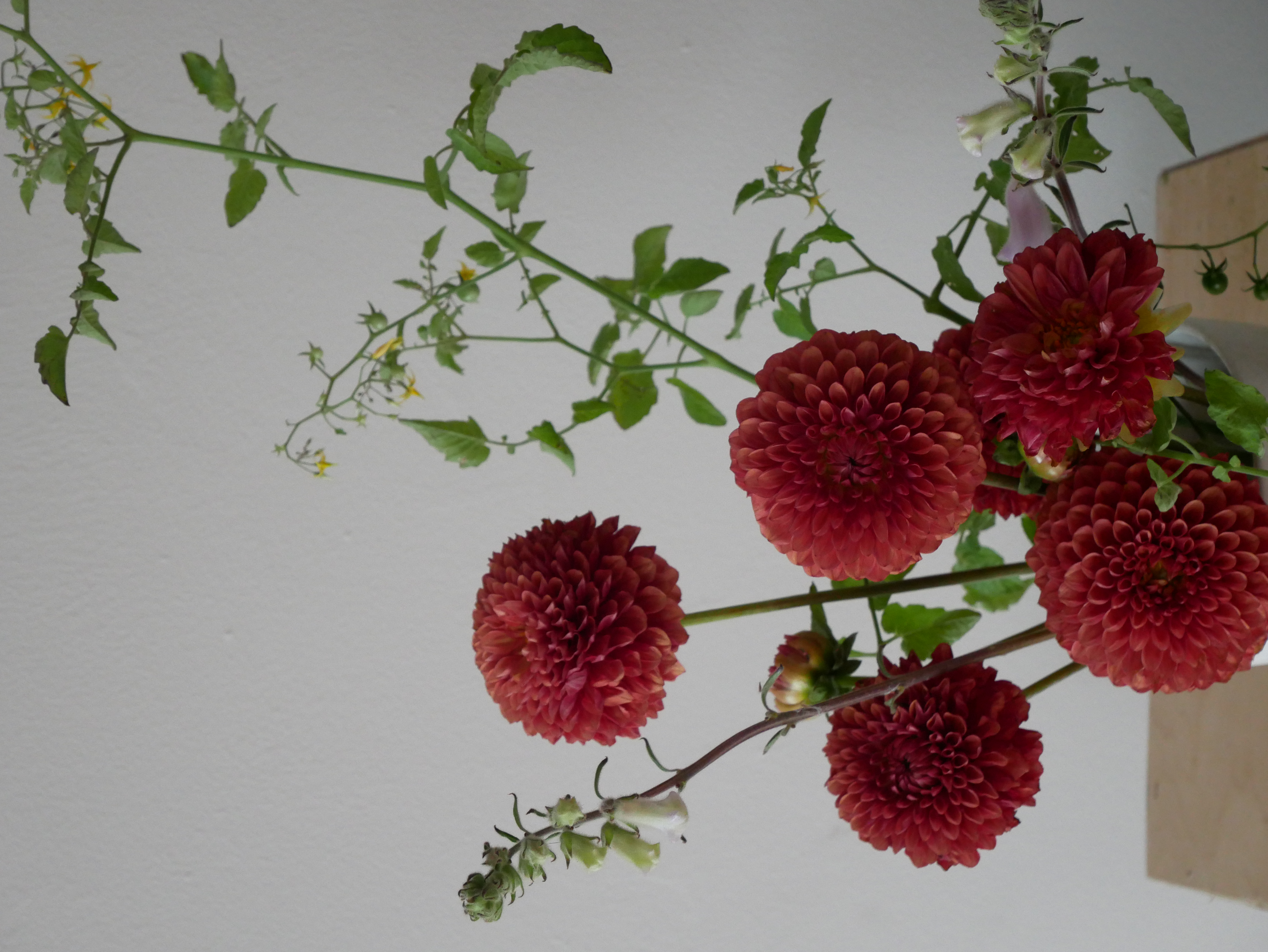 Floral arrangement