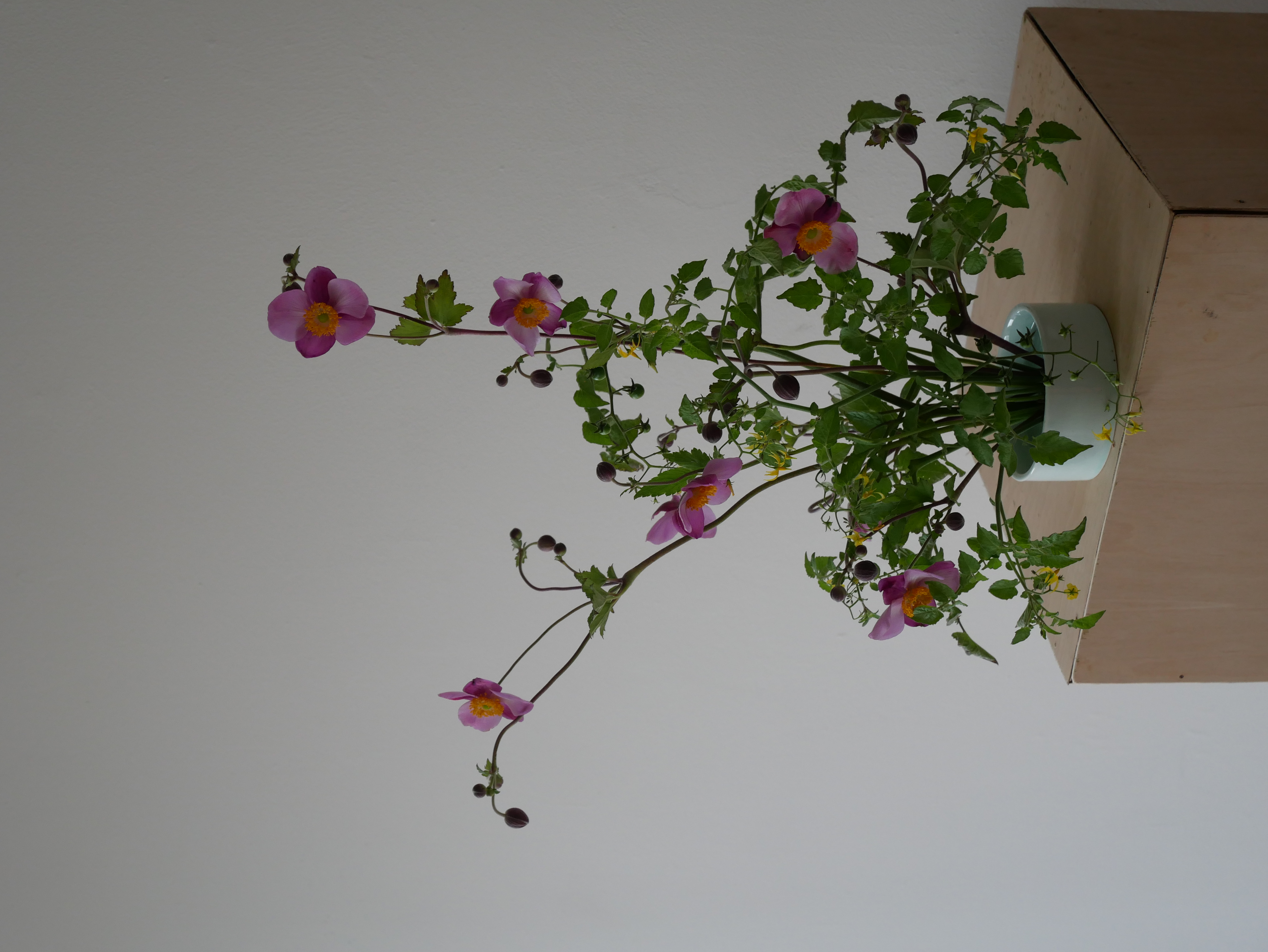Floral arrangement